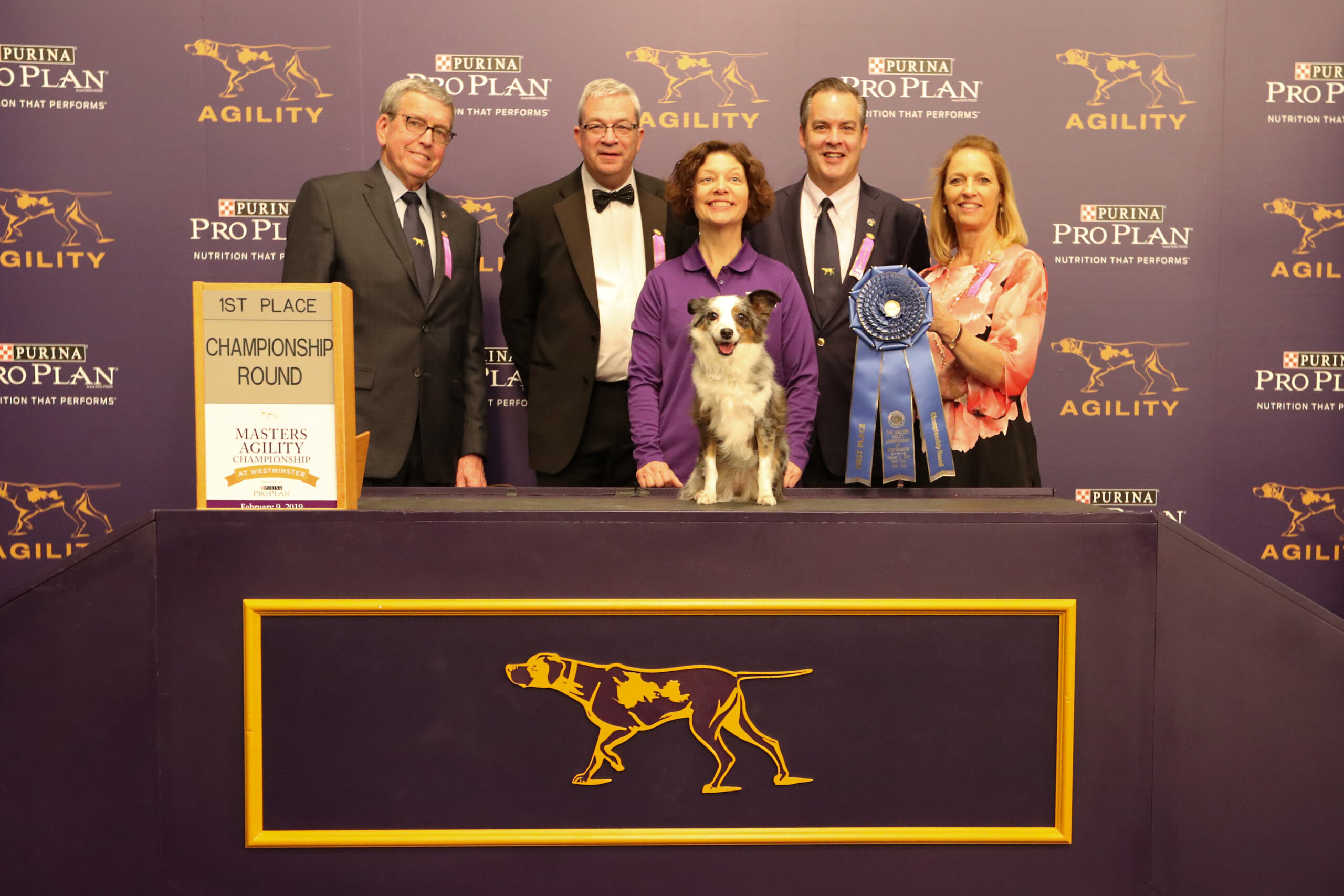 2019 Masters Agility Championship Winners The Westminster Kennel