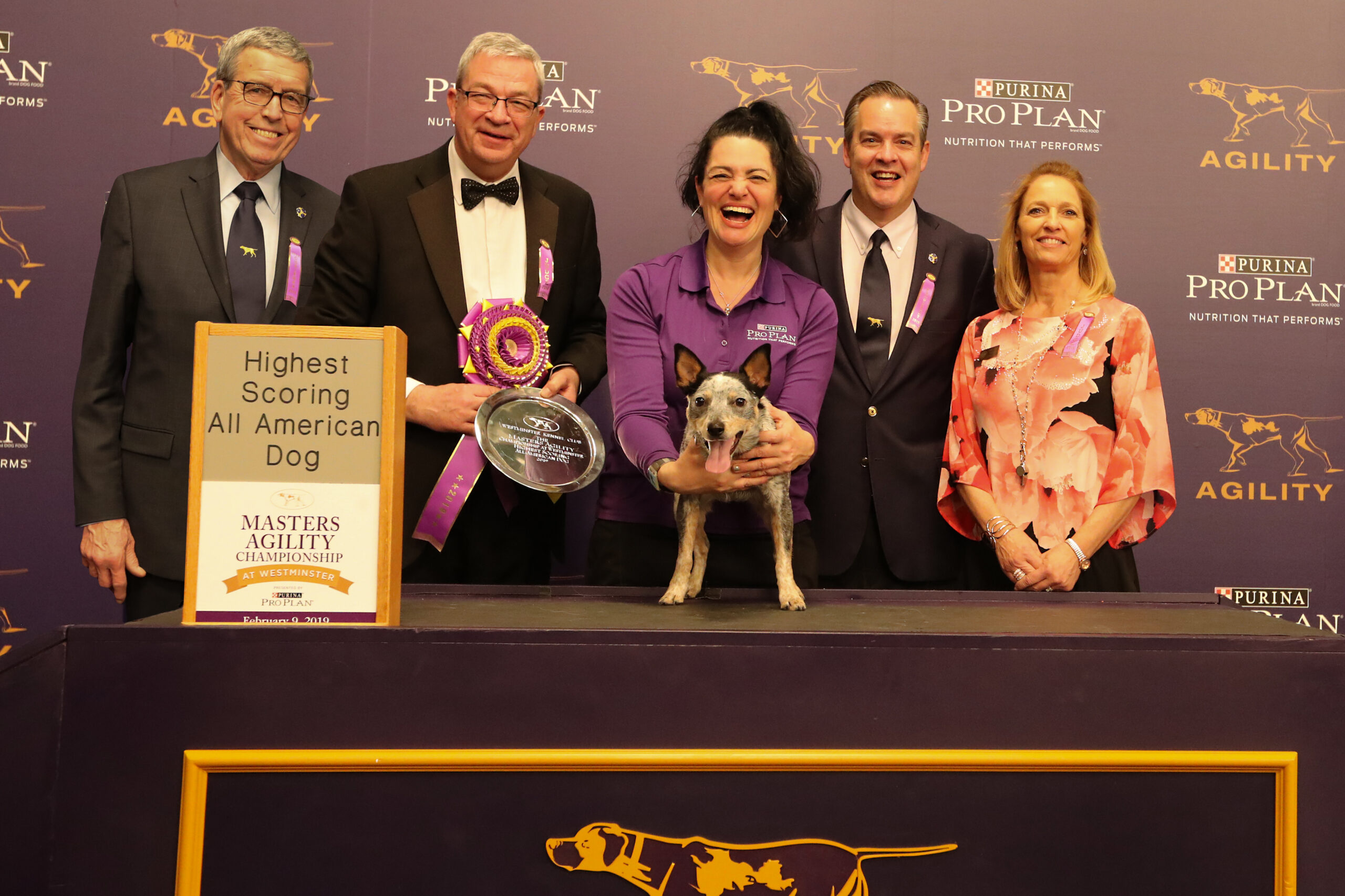 2019 Masters Agility Championship Winners The Westminster Kennel