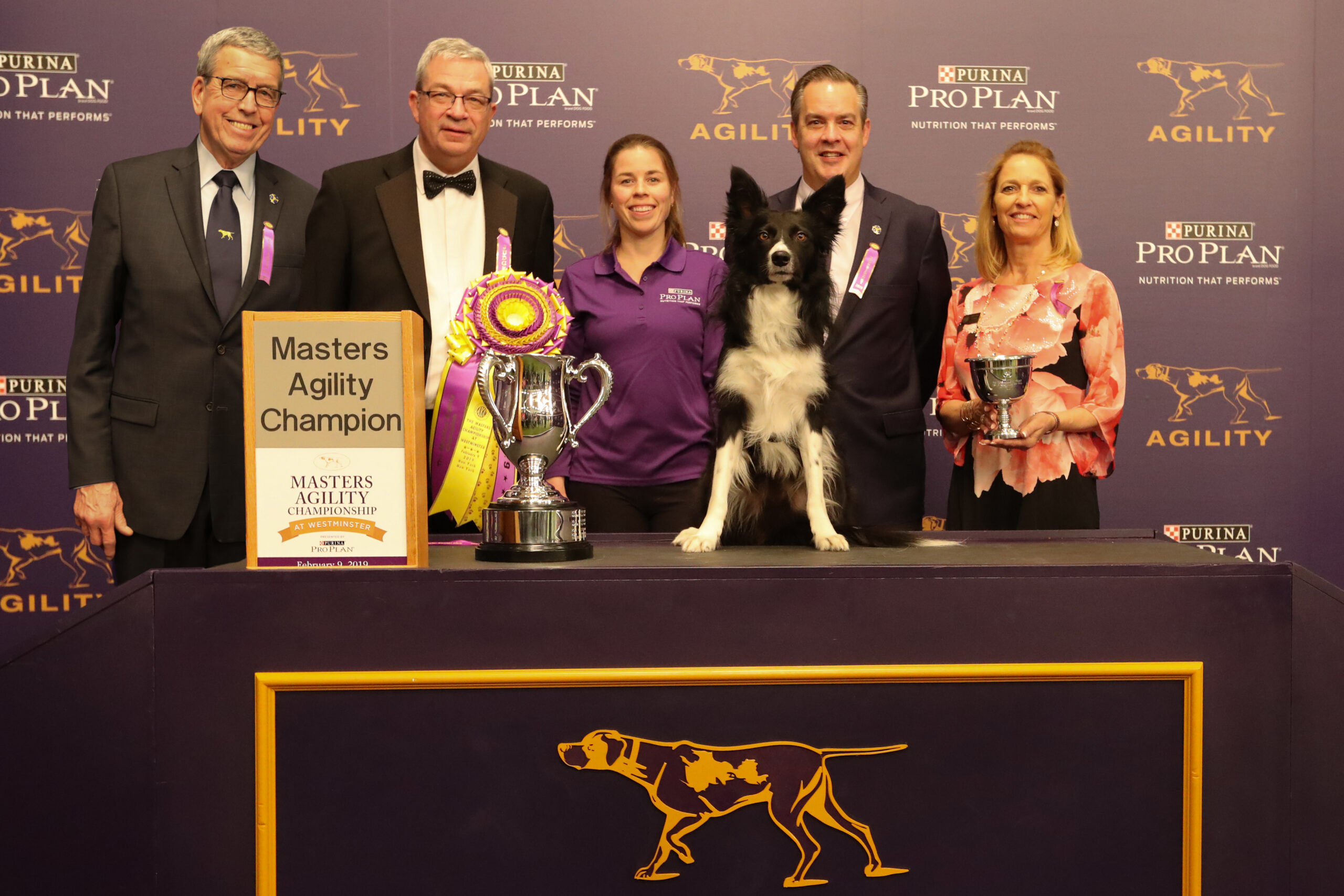 2019 Masters Agility Championship Winners The Westminster Kennel