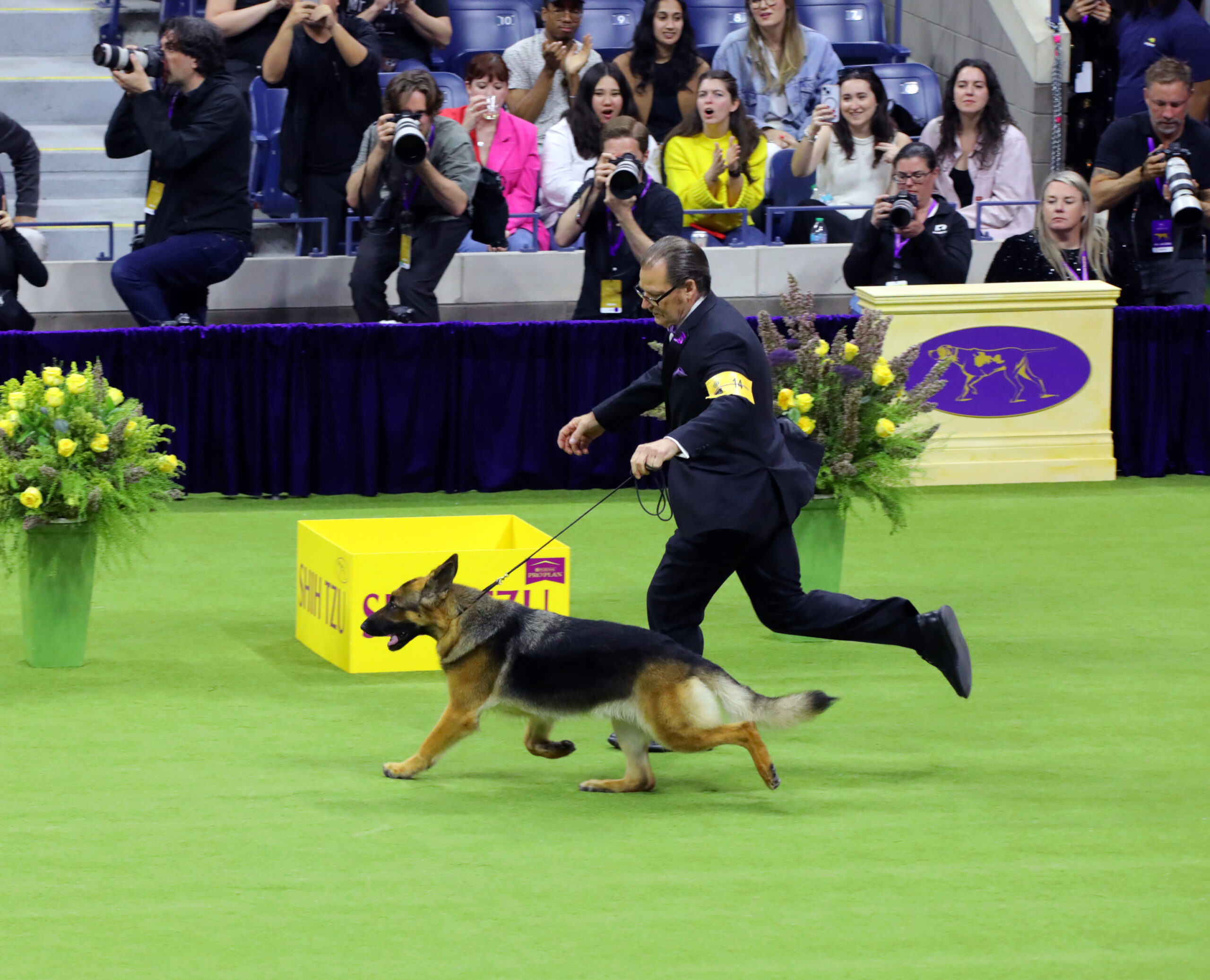 2024 Group Winners The Westminster Kennel Club