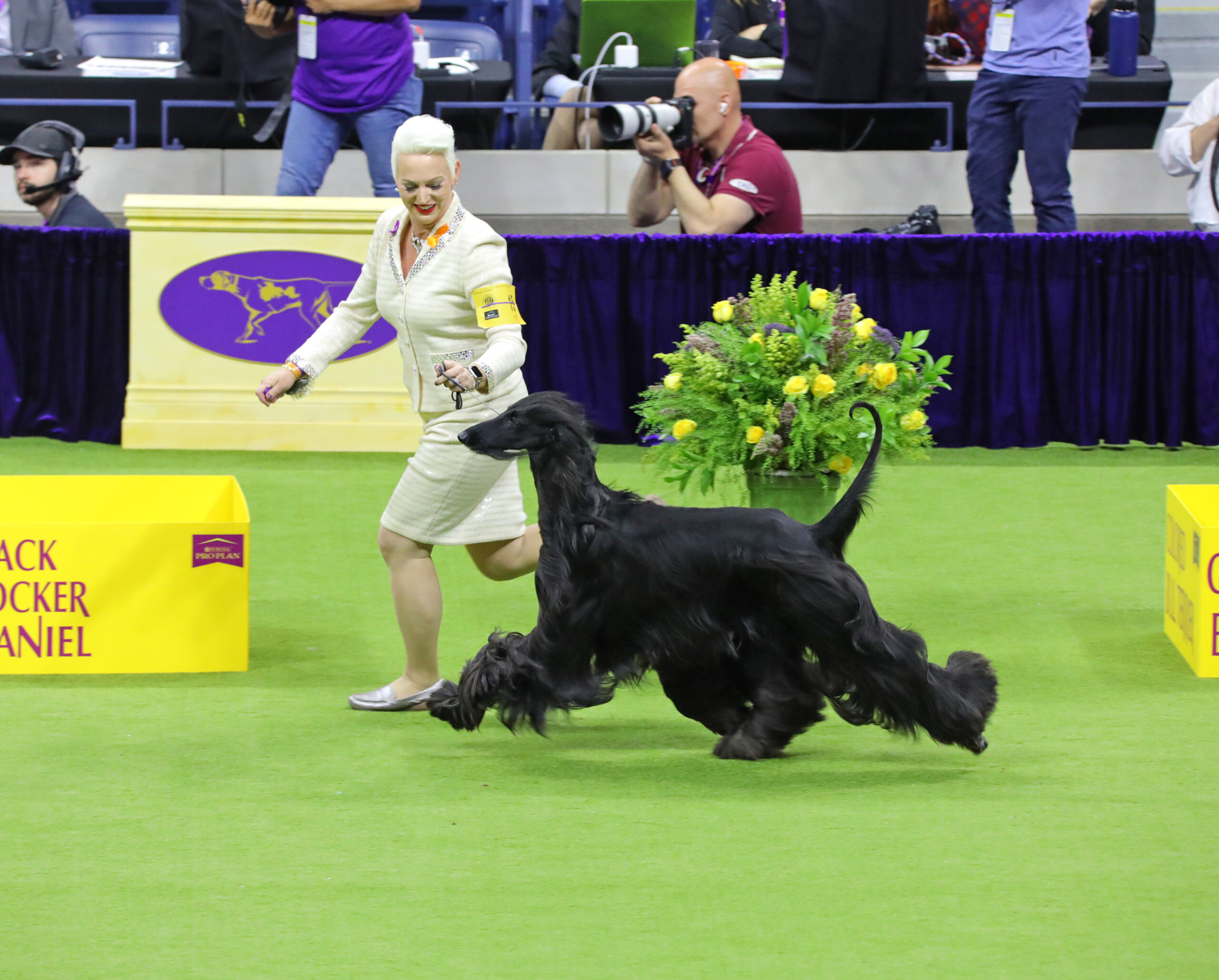 2024 Group Winners The Westminster Kennel Club