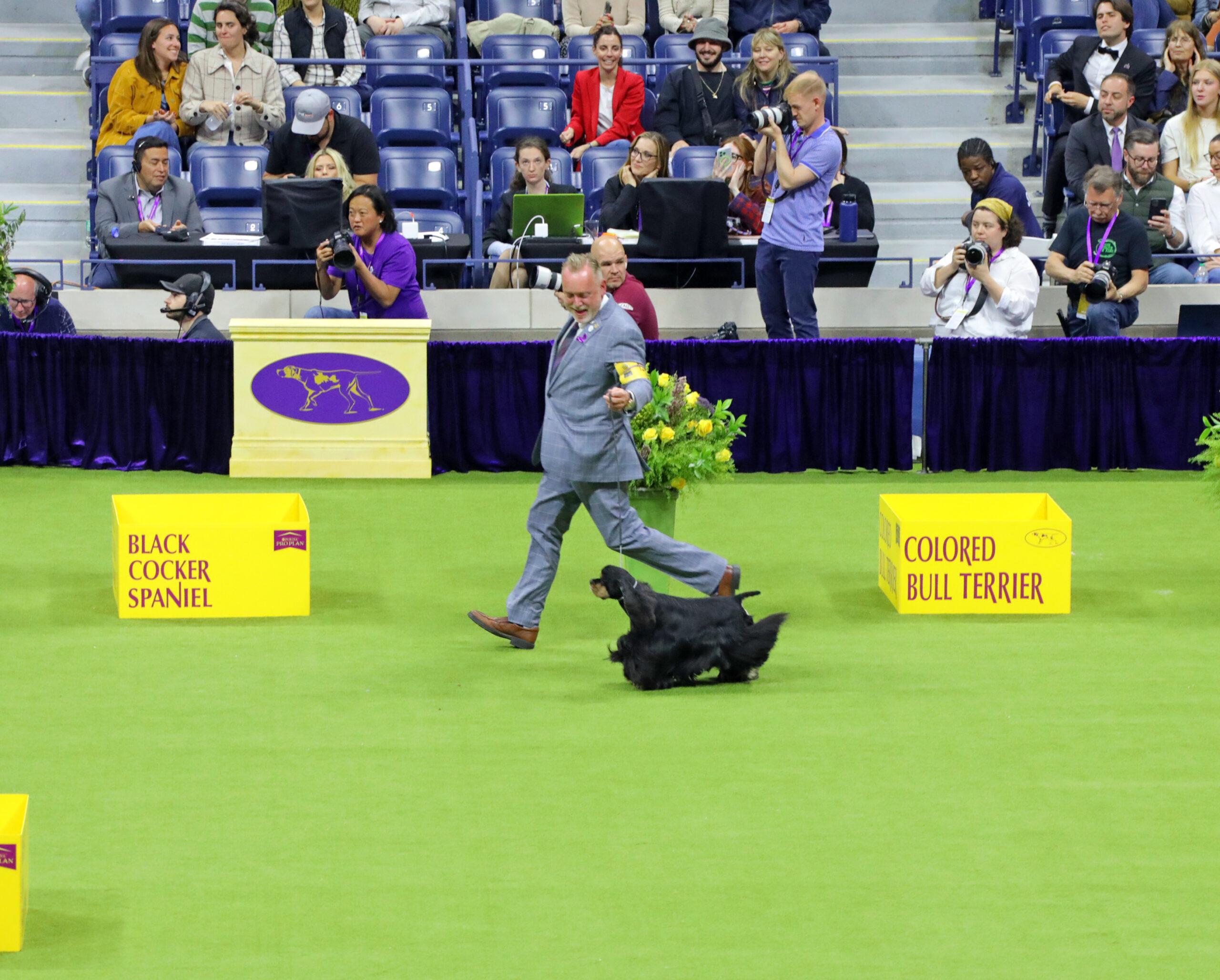 2024 Group Winners The Westminster Kennel Club