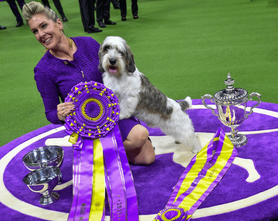A woman in a purple outfit smiles while posing with a dog and multiple award ribbons and trophies on a purple rug at a dog show.