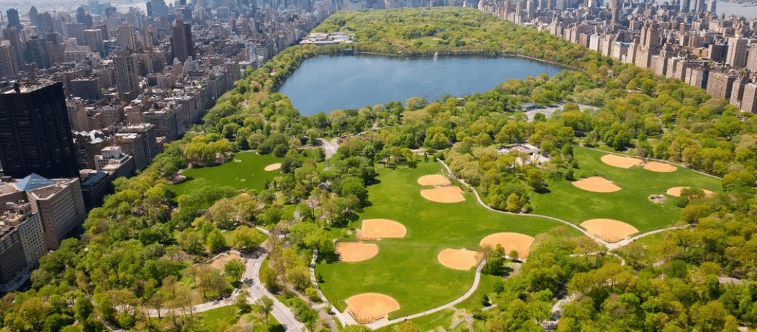 Aerial view of Central Park in New York City, showcasing things to do with green fields, baseball diamonds, trees, and a large reservoir amidst surrounding skyscrapers.