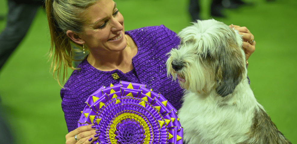 A woman in a purple outfit holds a purple and yellow rosette while smiling at a dog with a white and brown coat, perfect for sharing on her blog.