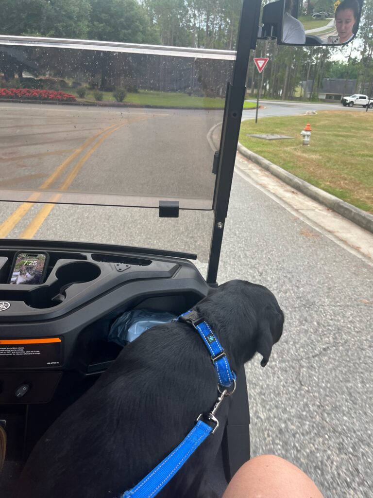 Tommy_Valor_on_golf_cart_ride_7.2024_f3qbjl