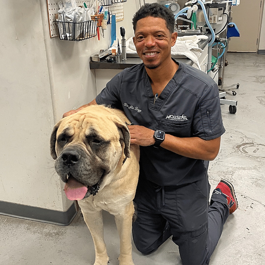 Dr. Diggs, Westminster Kennel Club Vet of the Year, with a dog in his care.