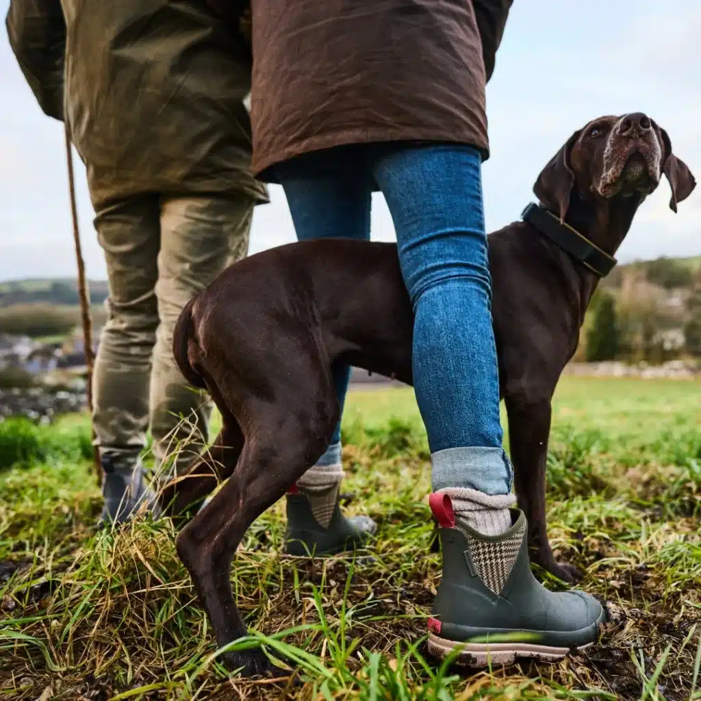 Two people stand in a grassy field with a brown dog. The dog looks upward while one person holds a walking stick.