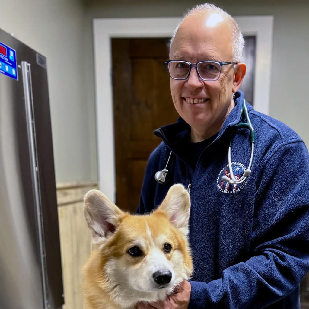 A veterinarian of the year with glasses and a stethoscope smiles warmly while holding a corgi inside an examination room.