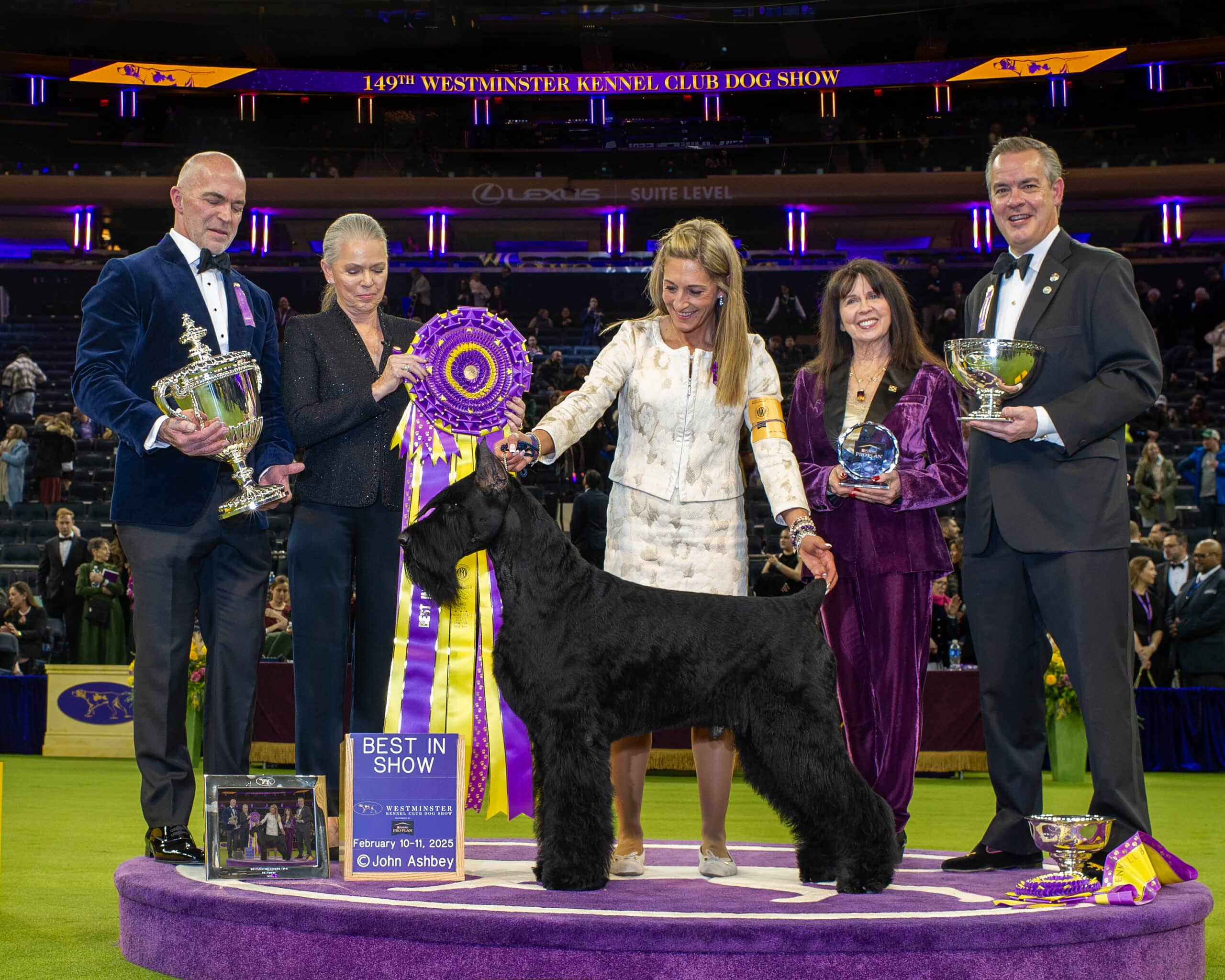 A group of jubilant people proudly stands behind a large black dog, the Westminster Kennel Club Best in Show Winner 2025, adorned with trophies and ribbons.