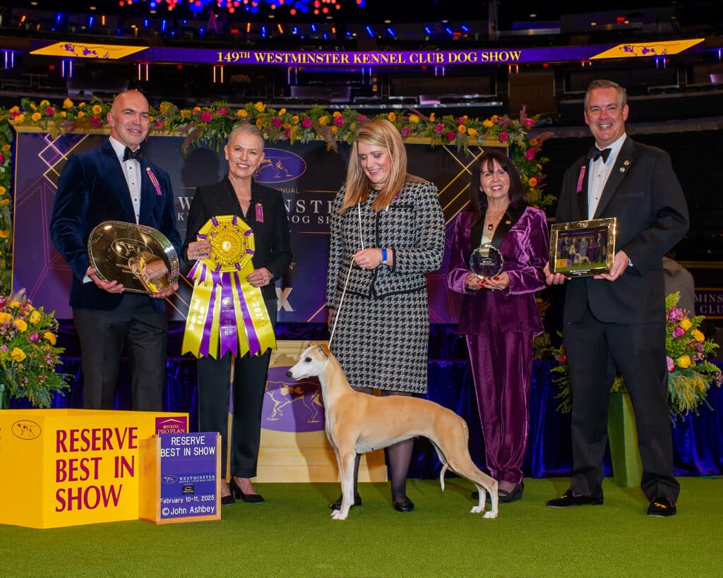 A group of five people and a dog celebrate at an award ceremony. One proudly holds the trophy for Westminster Kennel Club Best in Show Winner 2025, while another displays a plaque. The backdrop showcases the prestigious "Westminster Kennel Club Dog Show.