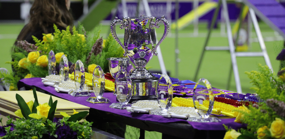 An impressive display of trophies and ribbons graced a purple tablecloth, surrounded by yellow flowers, capturing the achievements of proud exhibitors at the event.